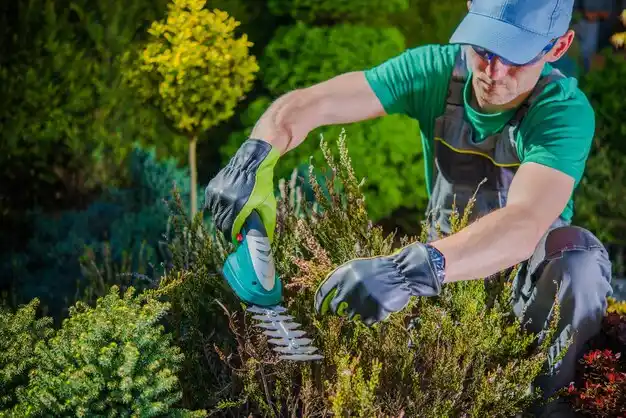 landscaping services Fort Loramie
